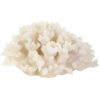 Richmond wit koraal ornament van polyresin