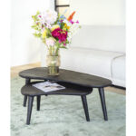 Salontafel zwart hout set