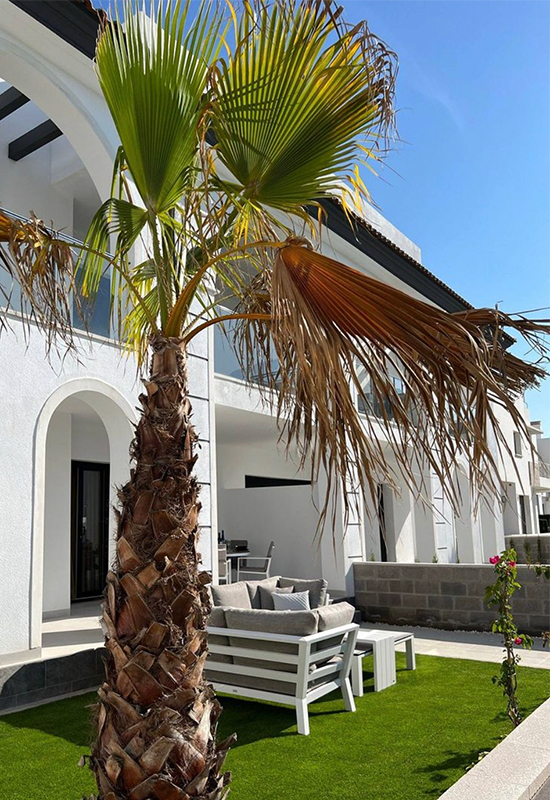 Wit vakantie appartement met palmboom in tuin