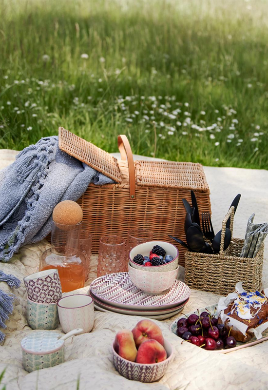 Zomerse picknick met fruit en pastelkleurig servies picknickmand en blauw picknick kleed