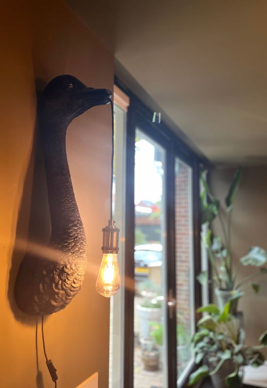 zwarte struisvogel wandlamp