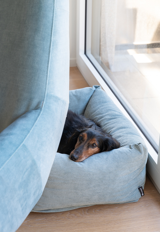 Zelfde kleur hondenmand stof