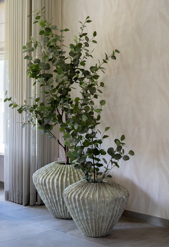 Potten met groene planten